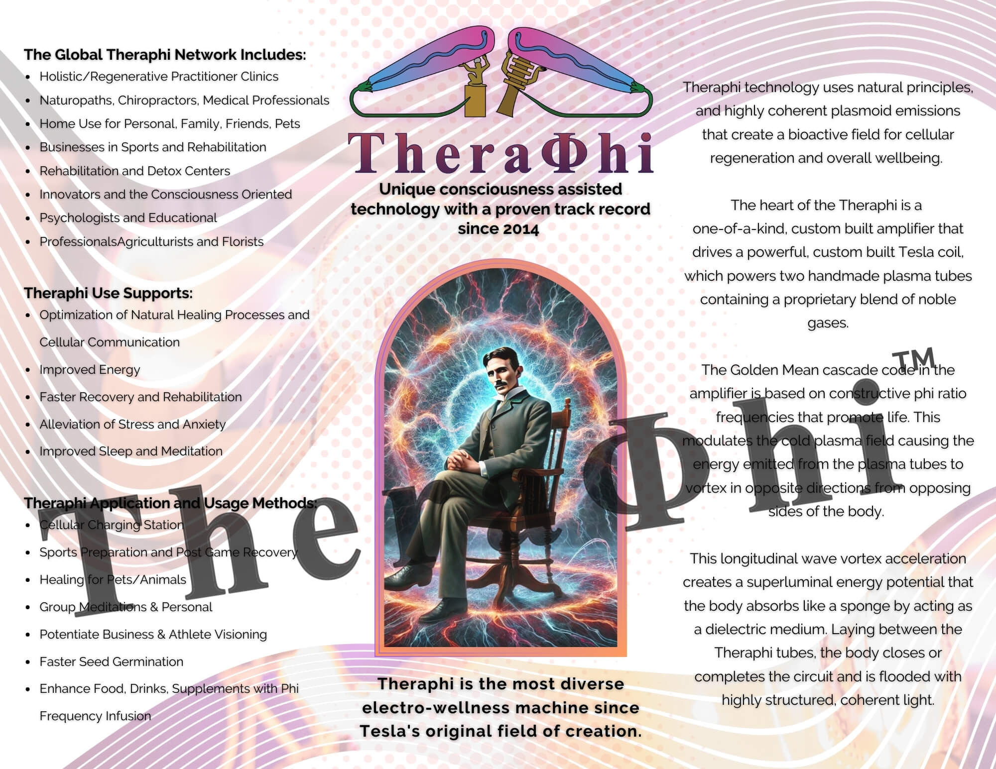 image of the inside of the Theraphi brochure
