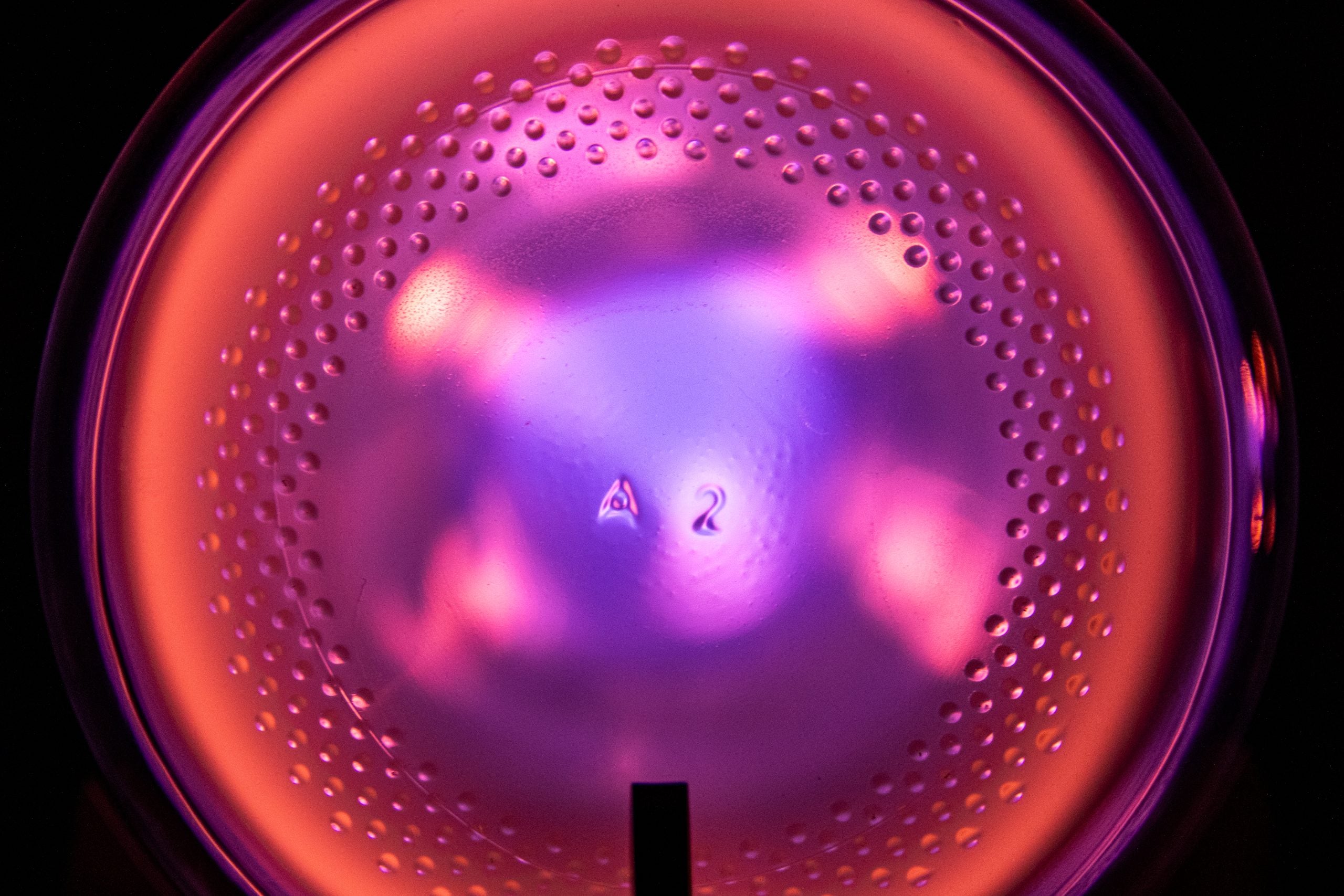 Close-up of a glowing purple and orange Theraphi bulb with a textured surface.