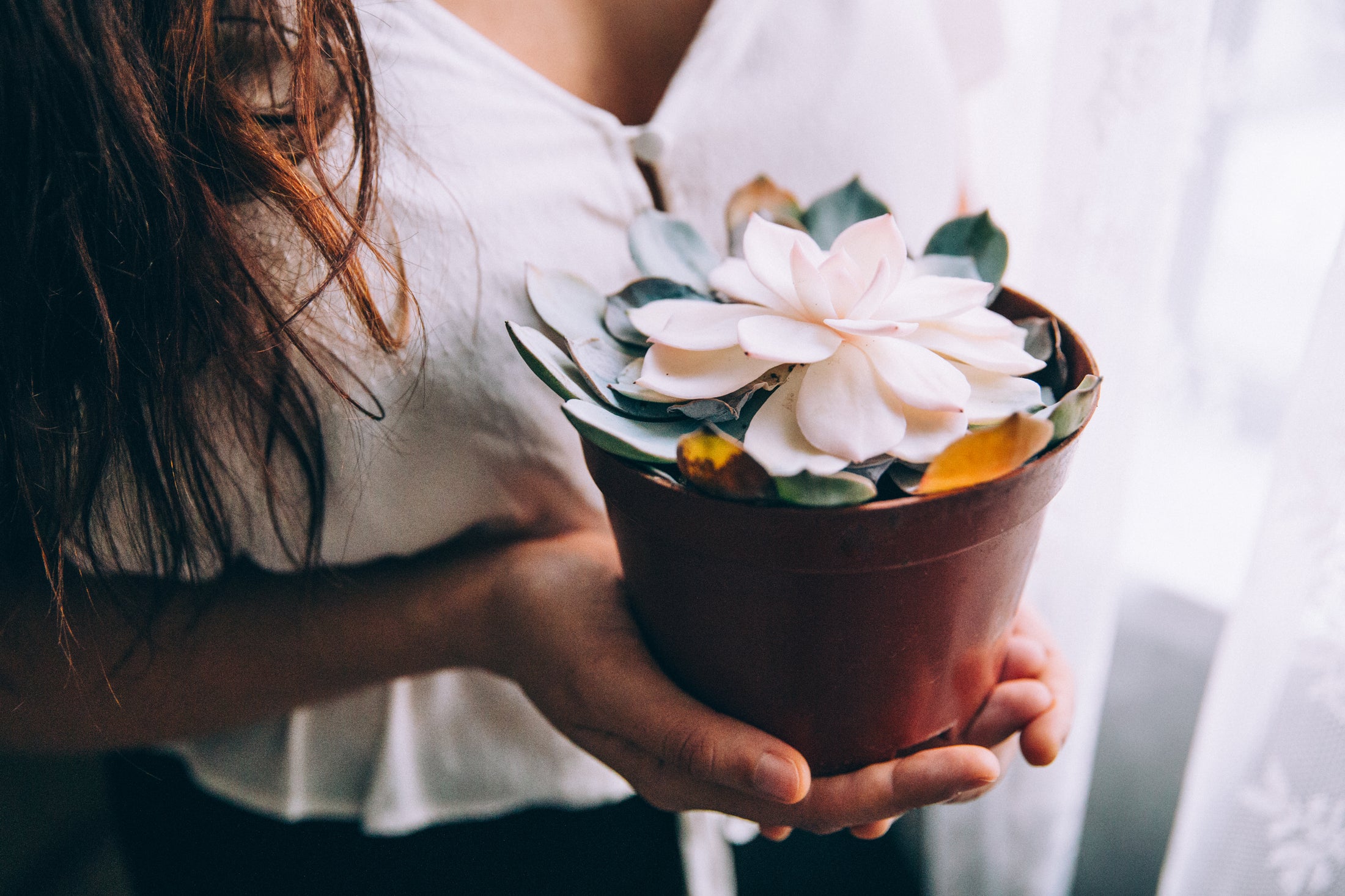woman holds a potted plant